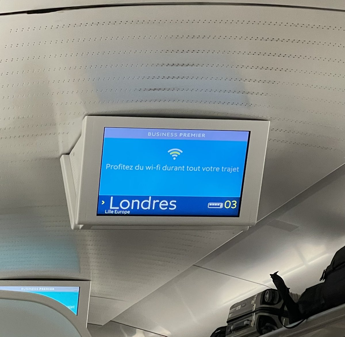 Sabina Ciofu tweet media