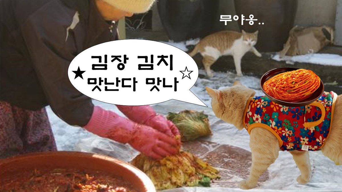 aboutpet_office's tweet photo. ★왔다 왔다 김장철☆
☆맛난다 맛나 김치★

김장하느라 고생한 인간들을 위해
무야옹대리가 이벤트 가져옴  (ﾐዋ ﻌ ዋﾐ)ﾉ 🎁

어펫 팔로우+게시글 알티 해주면
편의점 깊티 5명 쏜다=3 =3 =3 =3
김.치.우.정.뽀.레.버

#어바웃펫 #event #RT #기프티콘 #김장 #김치 #고양이 https://t.co/DrGZmlvdmY