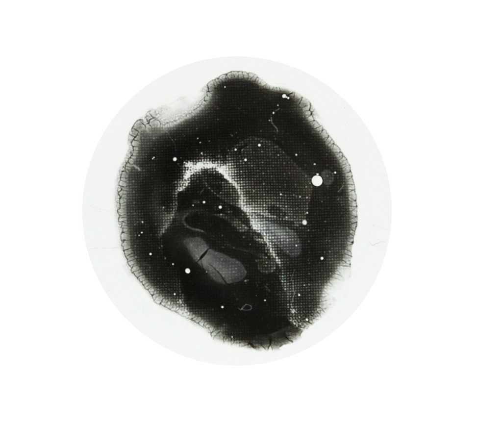 Open Call // The London Alternative Photography Collective and Thanet Alt Photo welcome proposals for Transmutation, an exhibition of works produced using experimental, analogue and alternative photographic processes at <a href="/MargateSchool/">The Margate School</a> .

curatorspace.com/opportunities/…