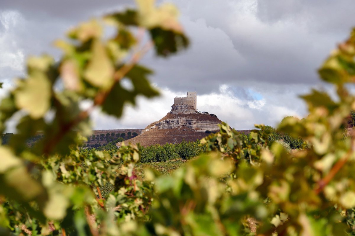 La ilusión también se alimenta de cosas bellas. Ponla en marcha junto a la #RiberadelDuero 🤩🍃

#FotodelDía