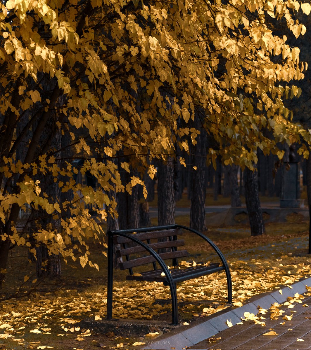 #Битола #ГрадскиПарк #Есен #Македонија #Nikon #nikonphotography #Bitola #Macedonia🇲🇰 #AutumnVibes #autumncolors #moody