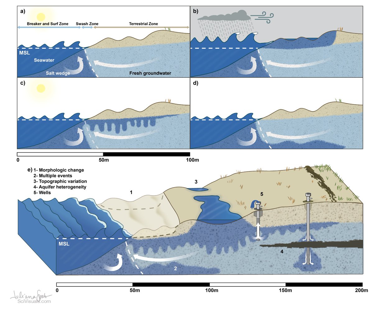 Very excited to see my debut first author paper published today! We reviewed field and modeling approaches to investigate vertical SWI and flushing processes following large coastal storms.
Check it out here: agupubs.onlinelibrary.wiley.com/doi/10.1029/20…