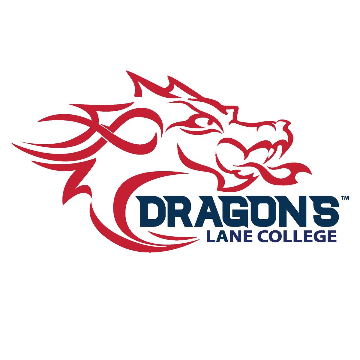 PalmettoPrepMM's tweet photo. 2023 TE (6’3 230) Darius Naylor offered by Lane College.

@NaylorDarius 

#BattleOn https://t.co/WwVSeoSTdu