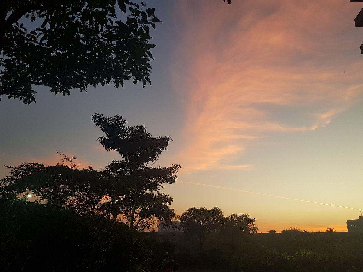 mamtabhatt's tweet photo. ये कोन चित्रकार है.. ये कोन चित्रकार है! ❤️💙 #skyline #walkdiaries https://t.co/b3DoA89Wno