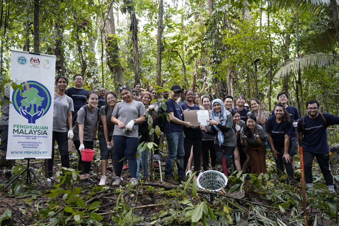 FRIMKepong's tweet photo. 🌳25 staf @ShearnDelamore &amp; @WorldServsGroup laksanakan program penanaman pokok di @FRIMKepong pd 12/11 sbg sokongan kpd Kempen Penanaman @100jutapokok 🌱

#CSR_FRIM #PokokKitaKehidupanKita #OurTreesOurLife #100jutapokok #FRIMTanamPokok #TreePlantingFRIM https://t.co/6jlaI8YVij
