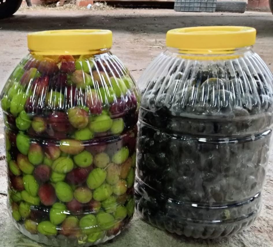 hanimeli_zeytin's tweet photo. El kırma olur da elçizik olmaz mı!
Beşlik bidonda, domat "elçizik" ve iri siyah zeytin...
#domat #elcizik #dogalzeytin https://t.co/vL4nogt8OP
