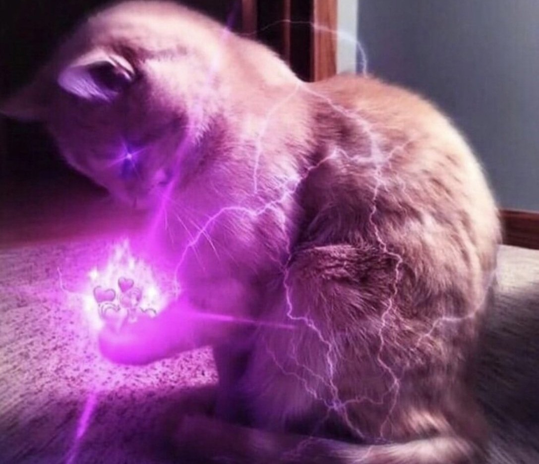 Catsillyness's tweet photo. with this power i will love u forever https://t.co/OcRVCEv3WT