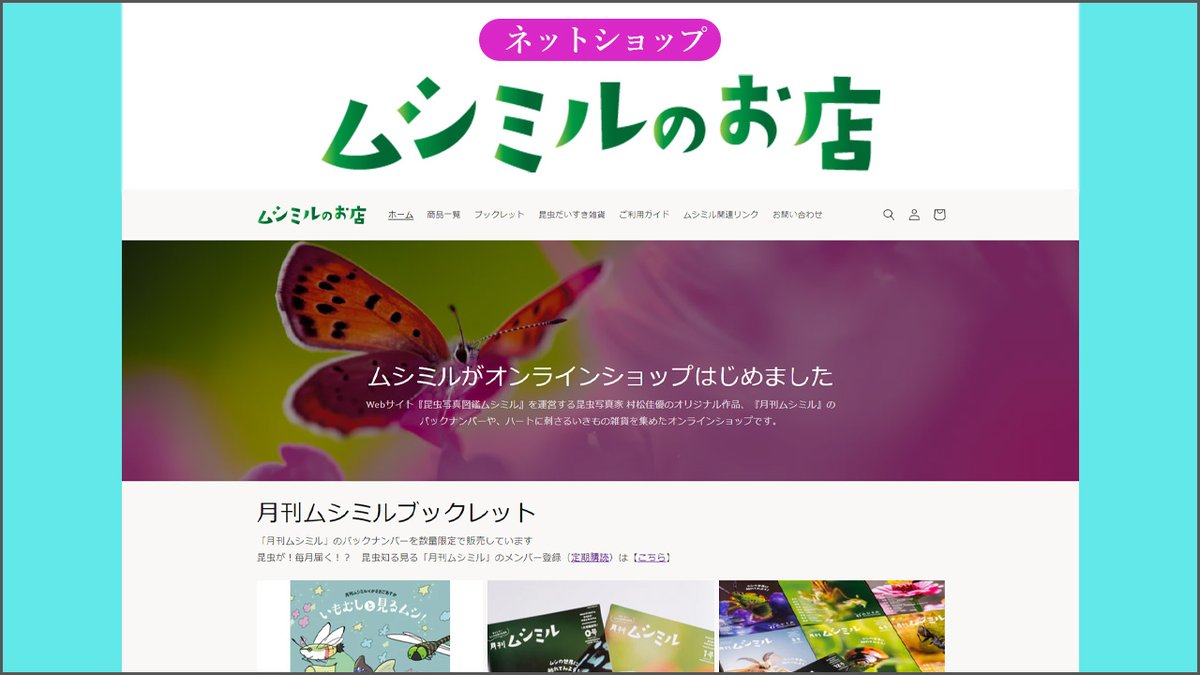 ムシミル🐞昆虫写真家が作るWeb図鑑 tweet media