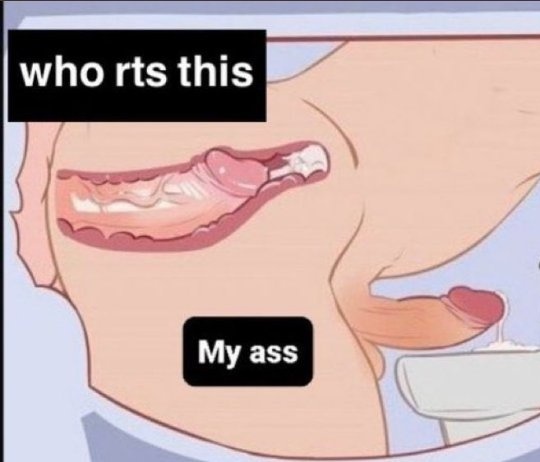 Nesse cuzinho, quem vem?