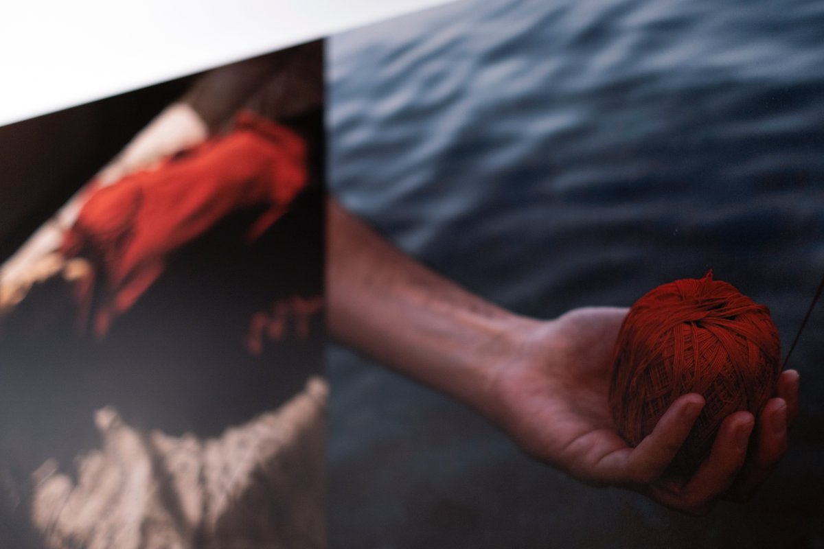 photofusionUK's tweet photo. Final days to see #femaleinfocus by @bjp1854 within our gallery, find out more about the artists and award here: https://t.co/DFW5sylZHd https://t.co/xmGLVWZmoV