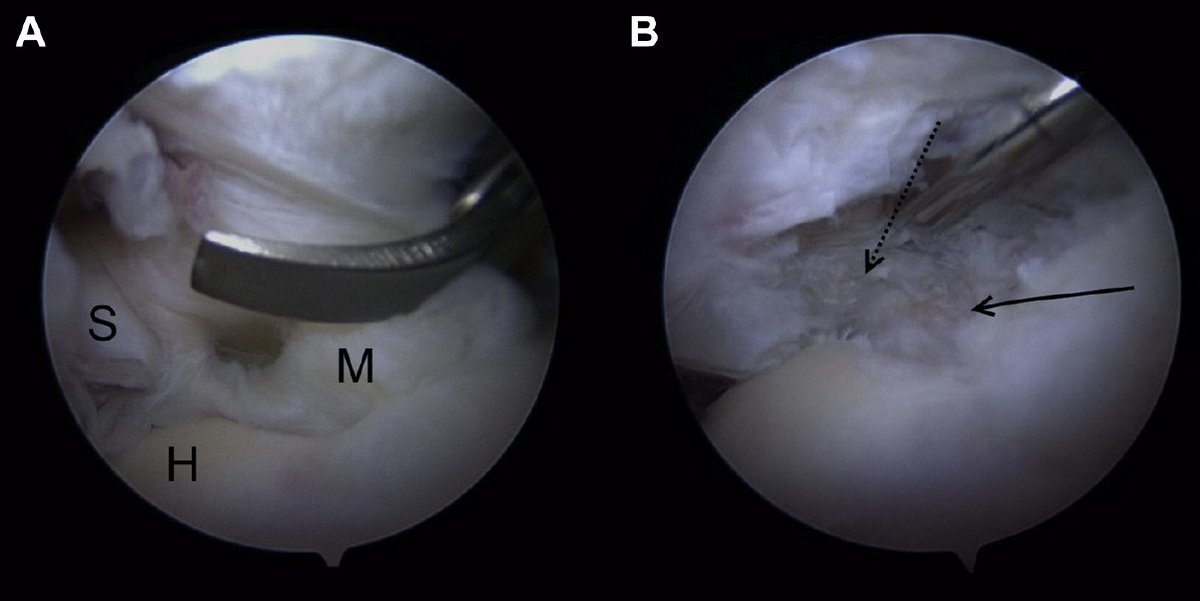 Rob Hartzler MD tweet media