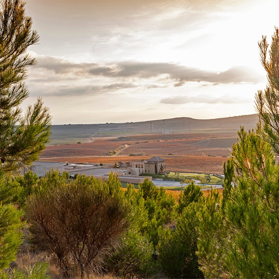 ¡Tenemos una gran noticia para la bodega Pagos de Araiz! En nuestro firme compromiso por la sostenibilidad y la lucha contra el cambio climático, nos ha sido otorgado el sello Wineries For Climate Protection que nos acredita como una bodega sostenible: masaveubodegas.com/pagos-de-araiz…