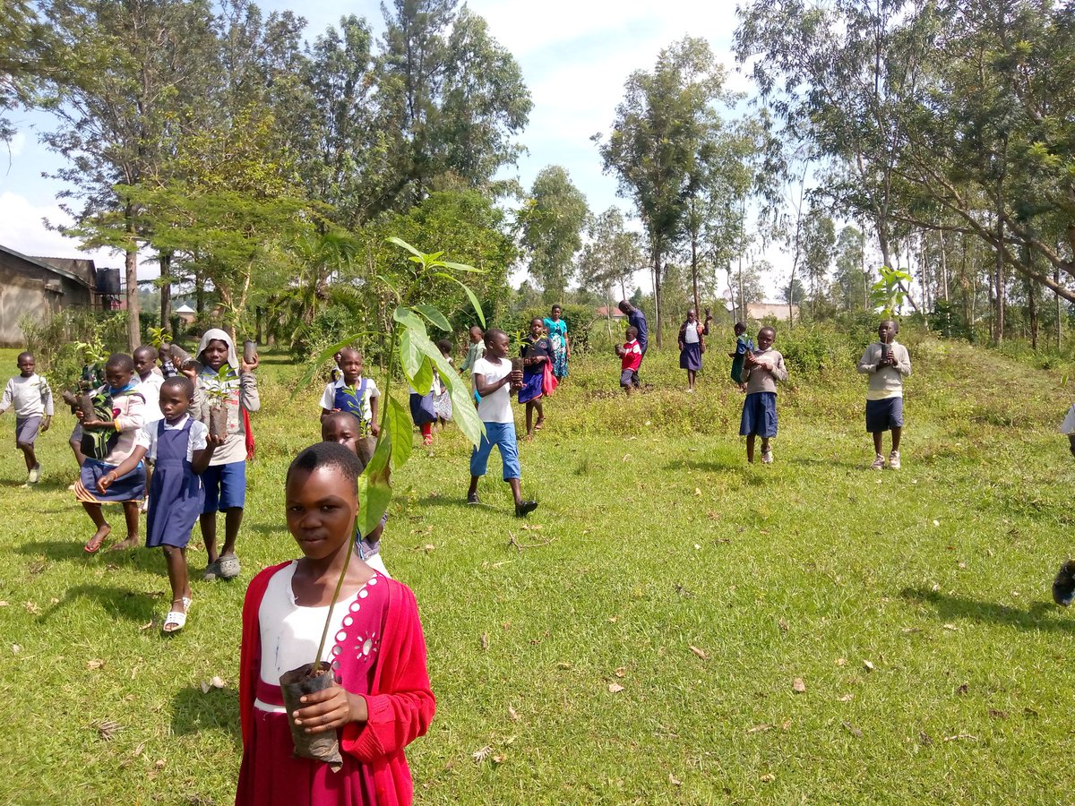 ayowecca_uganda's tweet photo. #Tree planting is a call for action against harmful environmental practices & helpful in spreading awareness about protecting Earth's natural environment #climate #ClimateCrisis #ClimateAction #Web3 #ReFi #ImplementPromisesNow #twiff #PeopleNotProfit #COP15 #COP27 #LossAndDamage https://t.co/iSgPJ28ahg