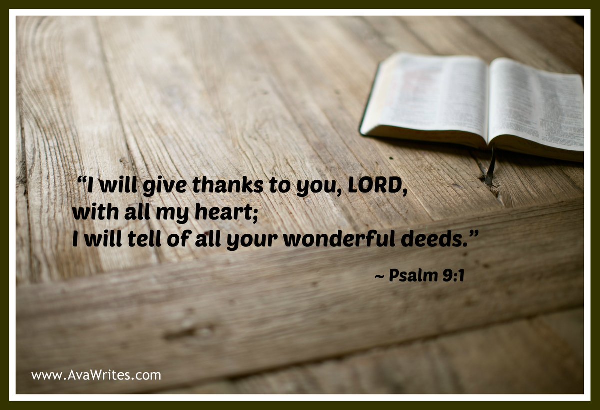 Ava Pennington tweet media