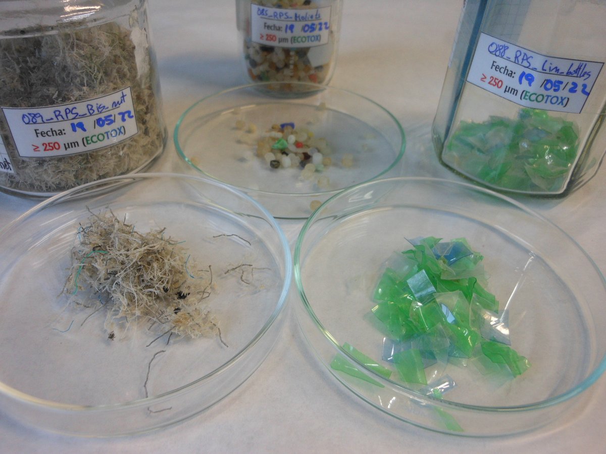 It's been an exciting month for the RESPONSE project with research partners participating across a number of sessions in #MICRO2022, and now we hear the amazing news that 🥳TWO🥳 of our research papers are now available online to access!!  #Microplastics #PlasticPollution