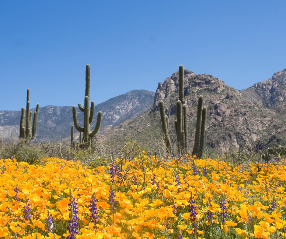 Jim Bremner tweet media