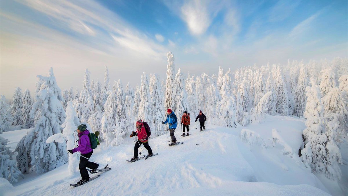 The snowy, rugged wilderness nature of the Wild Taiga region, which includes magnificent Hossa National Park, offers visitors routes for hiking, skiing, snowshoeing, winter biking, floating down freezing rivers, and exciting husky sled rides: discoveringfinland.com/blog/wild-taig…
