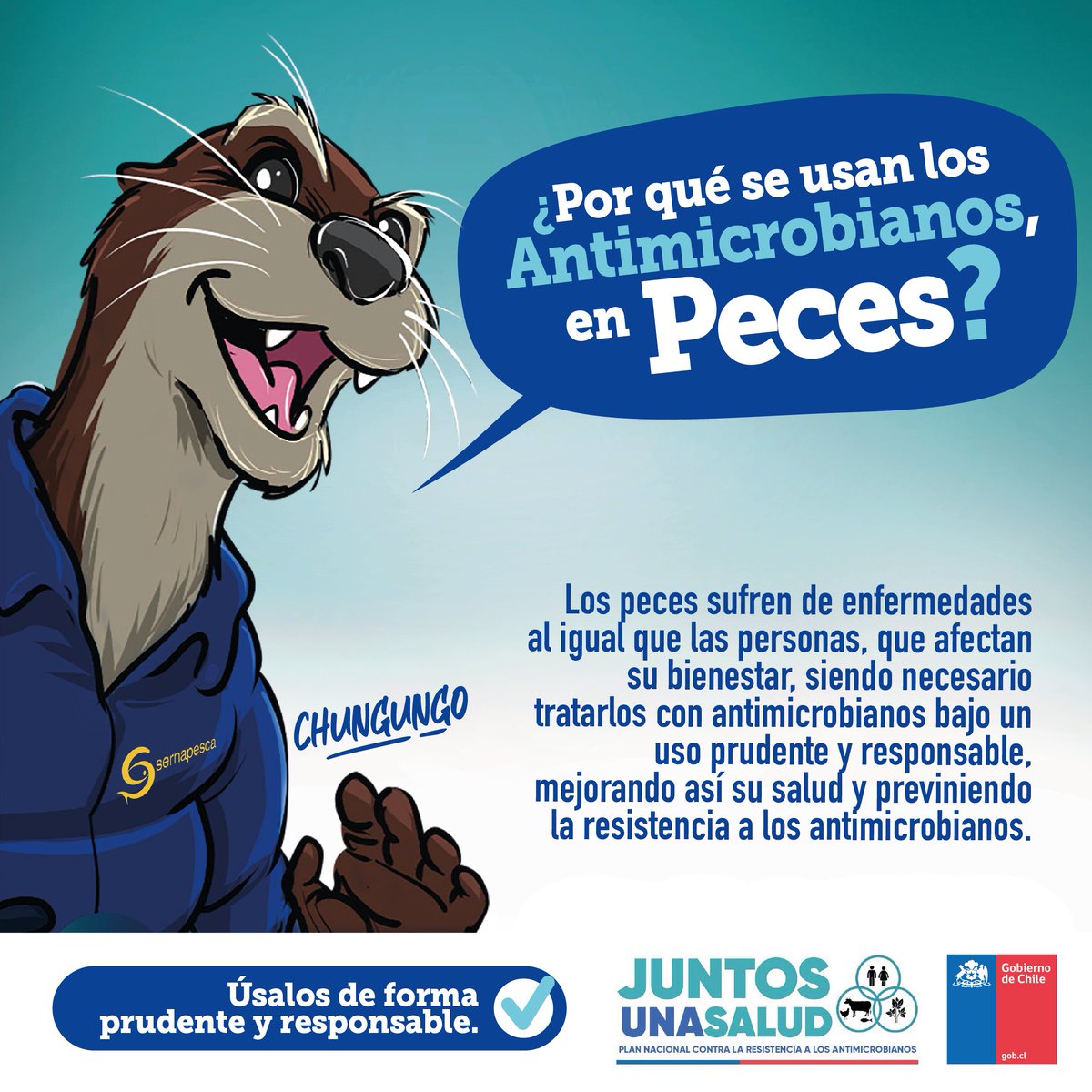 ministeriosalud's tweet photo. ✅ Trabajando juntos contra la Resistencia a los Antimicrobianos

🔸Los peces, al igual que los seres humanos, sufren de enfermedades que afectan su bienestar y deben ser tratados con antimicrobianos de forma responsable 💊

#RAM2022 #Antimicrobianos #ResistenciaAntimicrobiana https://t.co/RtIfDP52YZ