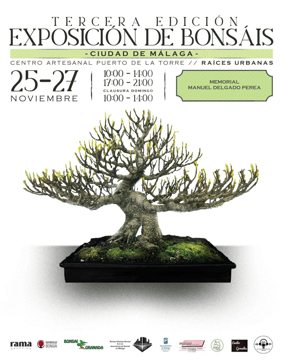 Puerto de la Torre - Distrito 10 tweet media