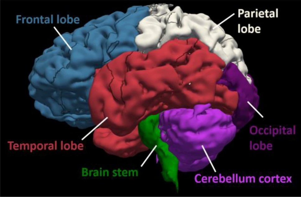 ABME (@abmejournal) on Twitter photo Protective Performance of Helmets and Goggles in Mitigating Brain Biomechanical Response to Primary Blast Exposure <a href="/ImperialDyson/">Dyson School of Design Engineering</a> <a href="/imperialcollege/">Imperial College London</a> <a href="/TRBL_CBIS/">CBIS</a> <a href="/GhajariMazdak/">Mazdak Ghajari</a> <a href="/BMESociety/">Biomedical Engineering Society</a> <a href="/SpringerNature/">Springer Nature</a>
Link: rdcu.be/c0bnE Protective Performance of Helmets and Goggles in Mitigating Brain Biomechanical Response to Primary Blast Exposure <a href="/ImperialDyson/">Dyson School of Design Engineering</a> <a href="/imperialcollege/">Imperial College London</a> <a href="/TRBL_CBIS/">CBIS</a> <a href="/GhajariMazdak/">Mazdak Ghajari</a> <a href="/BMESociety/">Biomedical Engineering Society</a> <a href="/SpringerNature/">Springer Nature</a>
Link: rdcu.be/c0bnE