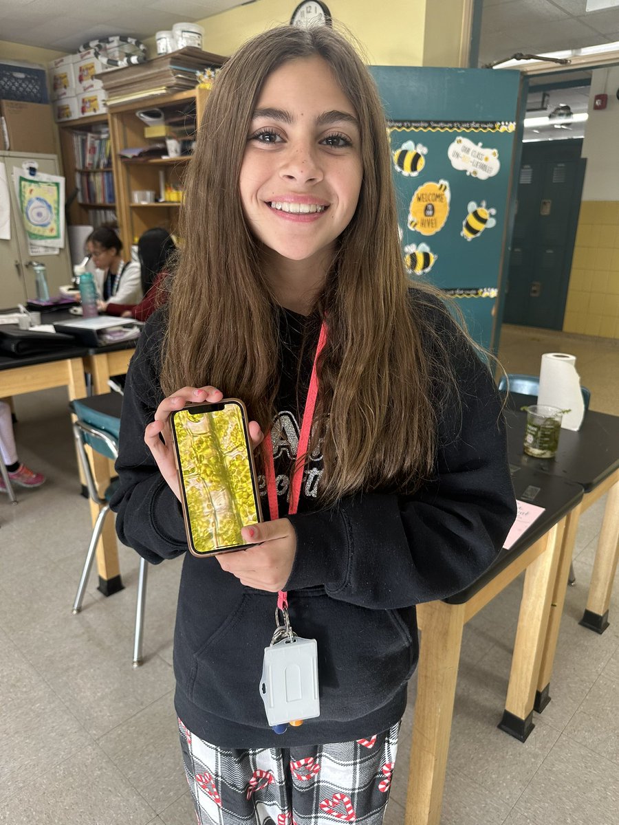 WenWanso's tweet photo. Cell-ebrating our ๐ฌ unit by taking cell-fies of live specimens @WTClarkeMS @jmiraglia31 #cell #elodea #chloroplasts #itsmoving #euglena #paramecium ๐ฌ ๐ฑ https://t.co/JEZp481Qch
