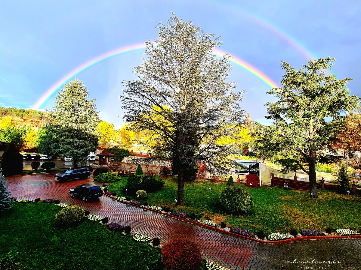 Kastamonu rengarenk...
22 Kasım 2022