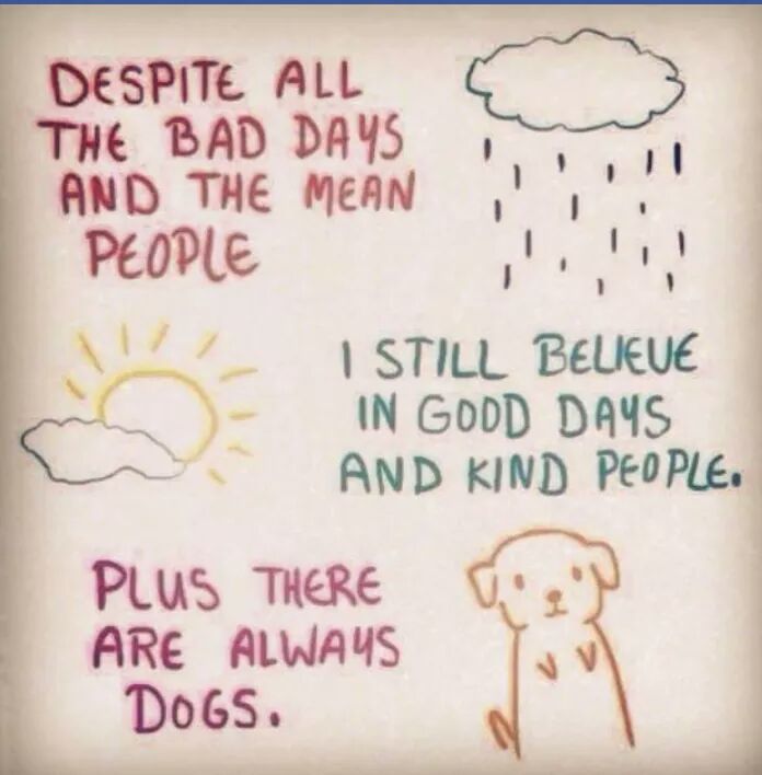 DoggingwithEwe's tweet image. Good day!