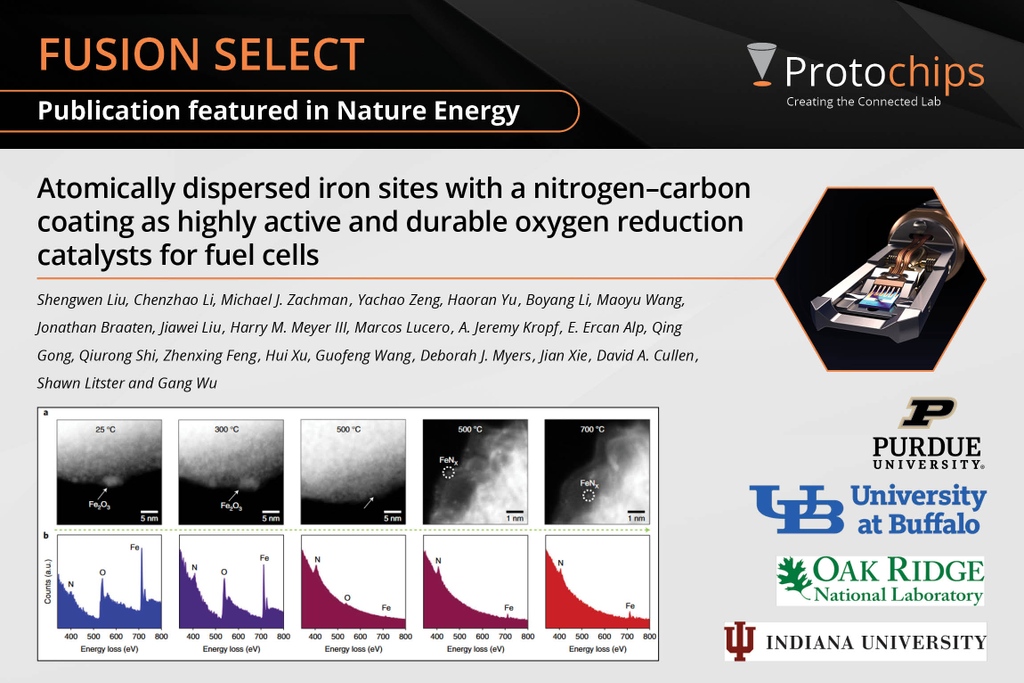 Protochips's tweet photo. Tuesday publication update! Catalysts with atomically dispersed, iron sites have exhibited encouraging activity for the oxygen reduction reaction in challenging acidic electrolyte. Find the paper here:
https://t.co/iNvHcSdbv8
#FusionSelect #Protochips #Findyourbreakthrough https://t.co/B2xxdIeE0N