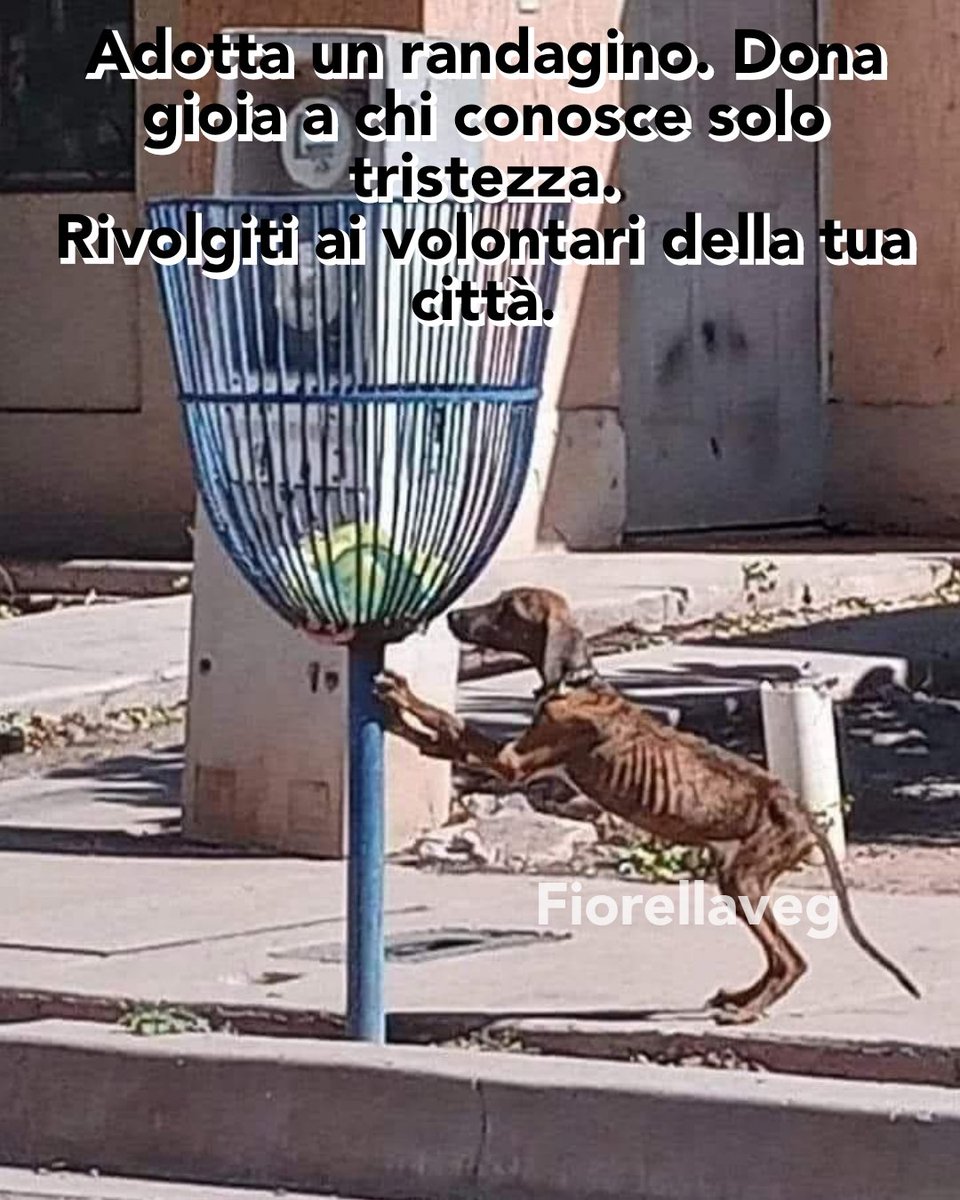 “Non saranno la luce e il chiarore del sole a farci uscire dalle tenebre, ma la conoscenza delle cose.”
✒️
Lucrezio