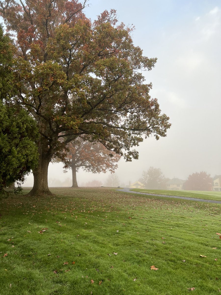 LeicaClub's tweet image. 