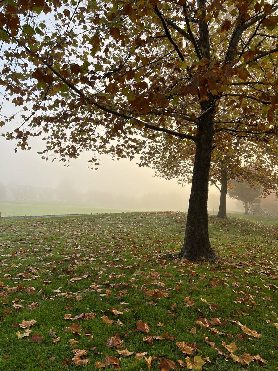 LeicaClub's tweet image. 