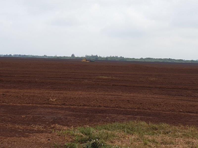 SWAMP_Project's tweet image. Peatland drainage and extraction provide several serious challenges to aquatic life: increased mortality, reduced richness, behavioural changes, habitat alterations and changes in community structure!
See more in latest article👇
@EPAResearchNews

muse.jhu.edu/article/870479