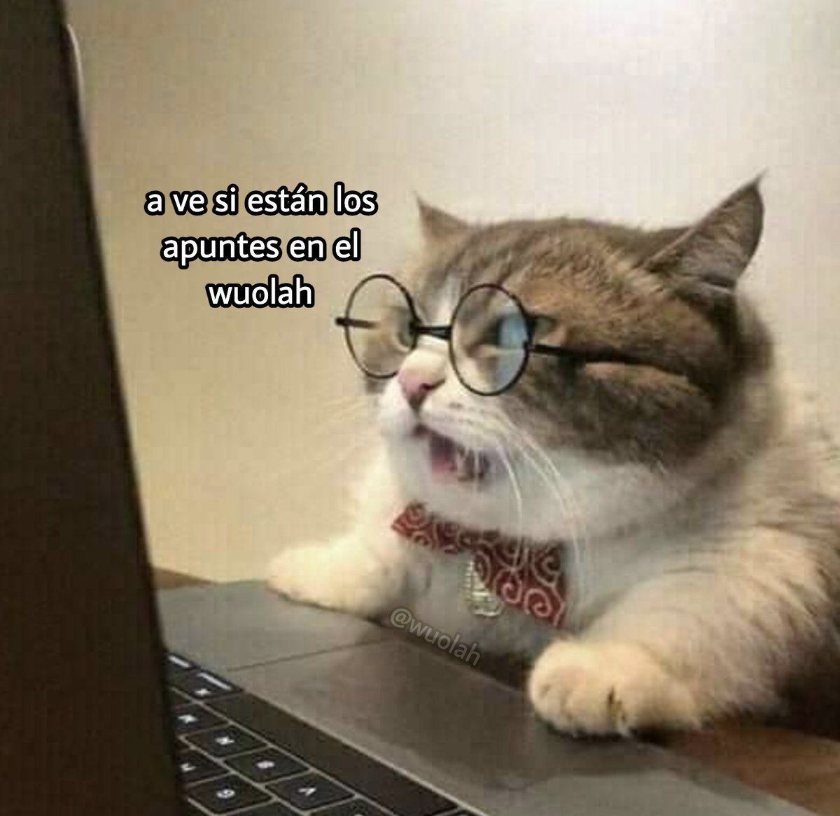 Wuolah's tweet photo. yo literalmente cada vez que tengo que estudiar https://t.co/n81NMozMdn