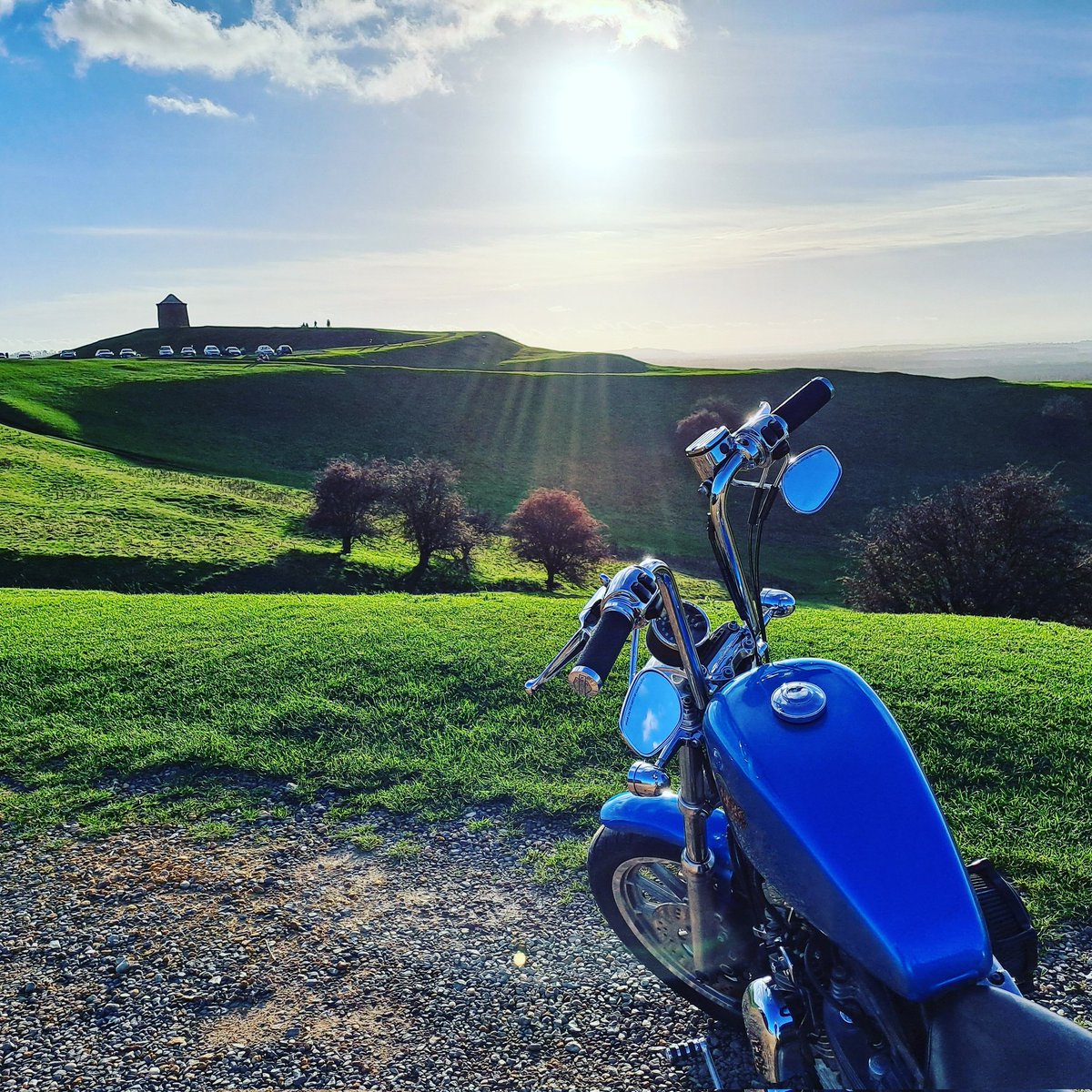 Late Autumn sun at Burton Dassett Country Park and my Harley Sportster 1200S #burtondassett #harleydavidson