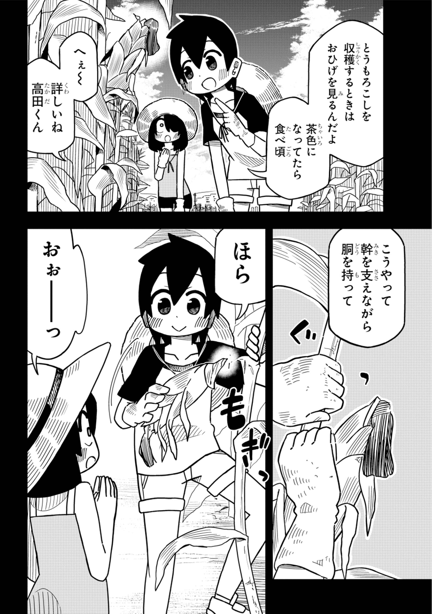 (2/6) 