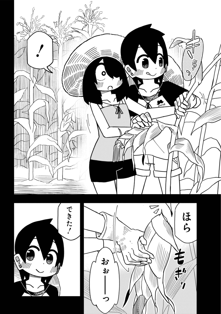 (2/6) 