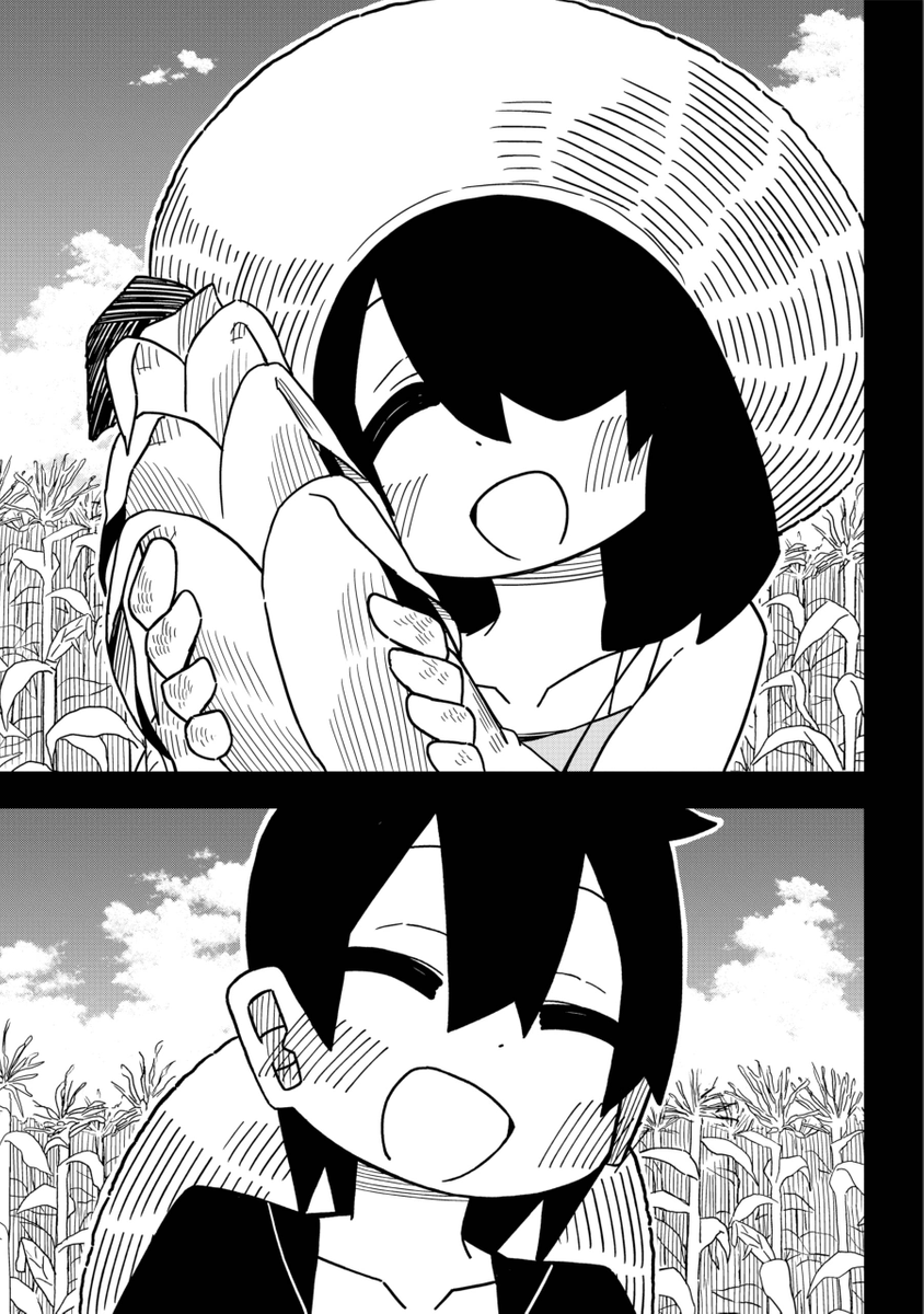 (3/6) 