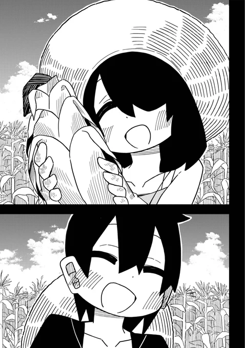 (3/6) 