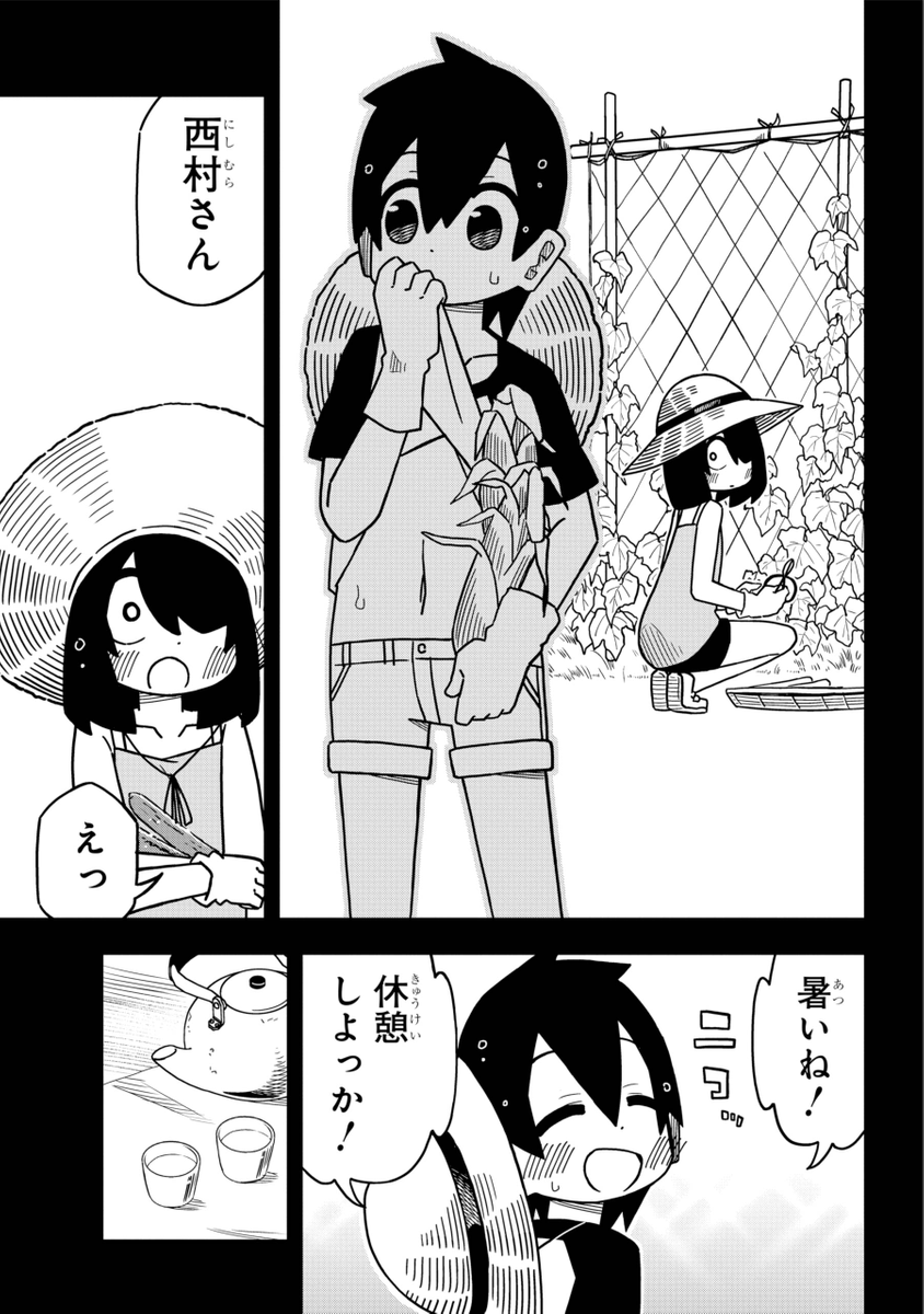 (3/6) 