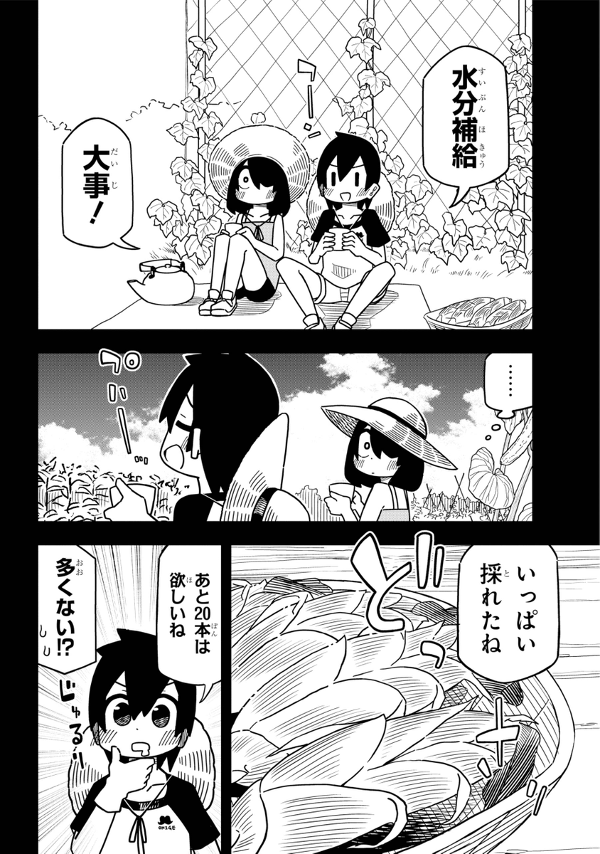 (3/6) 