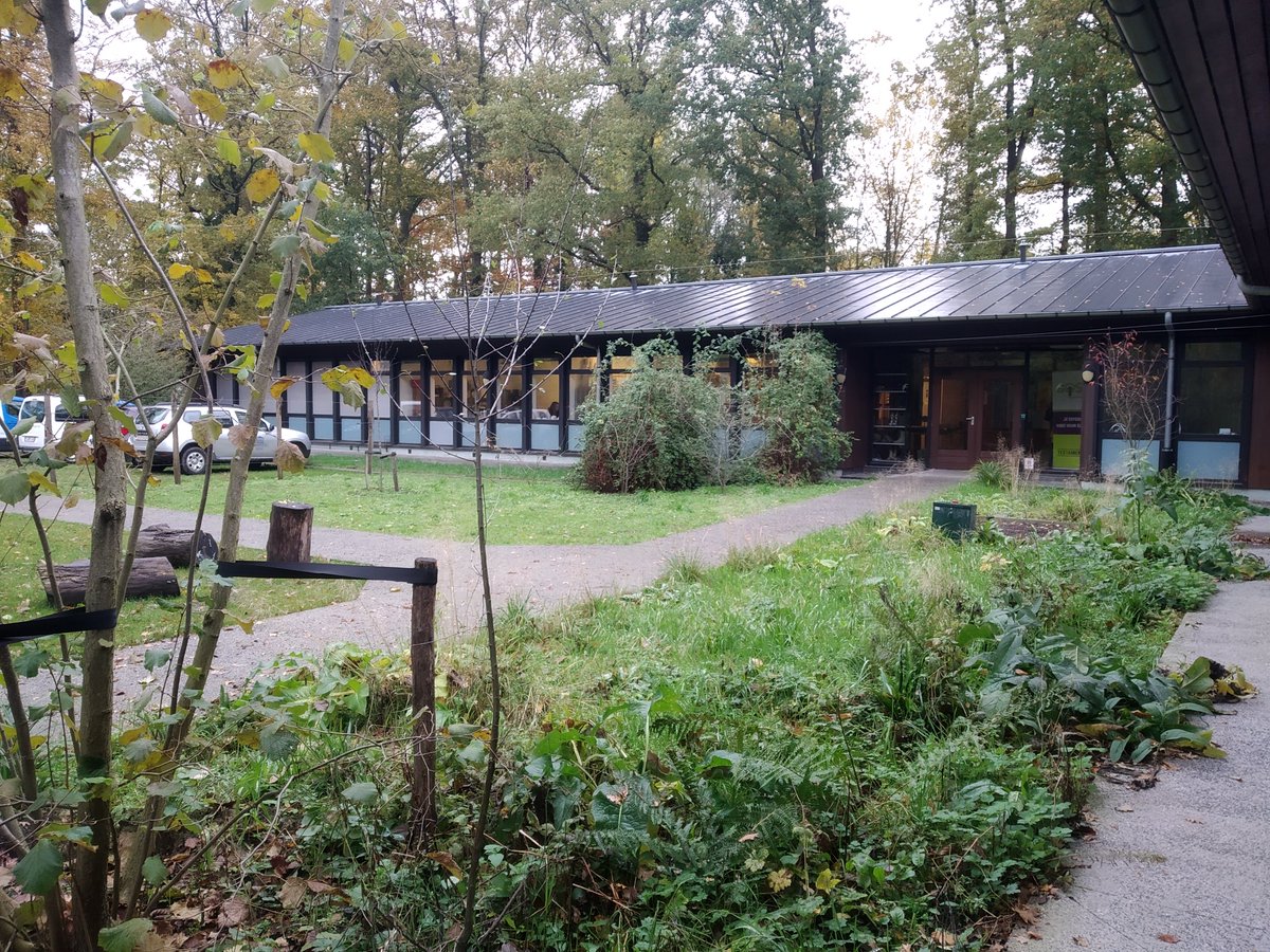 ForNaLab's tweet photo. Exactly one year ago, our parking lot looked very different! We desealed the space and made more room for green and picknick space!
#desealing #greening https://t.co/OzwaIGU4gh