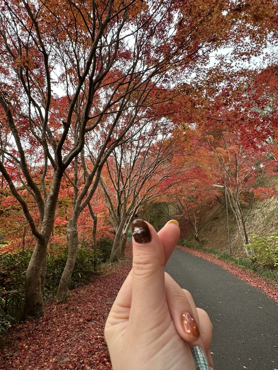 a__7hn's tweet photo. 超久しぶりの投���🤭💭
雨降る前に聖地巡礼してきた✊🏻🧡
まあまあ近場やのに存在知らんかった！🫢笑
こんな良いところがあったなんて〜✨
と母と言いながらのんびり紅葉楽しんできた🍁🍂
Nissy教えてくれてありがとう☺️
愛媛に来てくれてありがとう〜🥰

#Nissy
@NissyStaff https://t.co/28XUI45e55