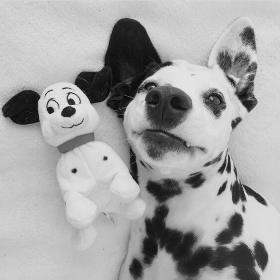 ⠀⠀⠀ ͏͏͏͏͏͏

 ͏͏͏͏͏͏ ͏͏͏͏͏͏

bela 
&amp; ego.