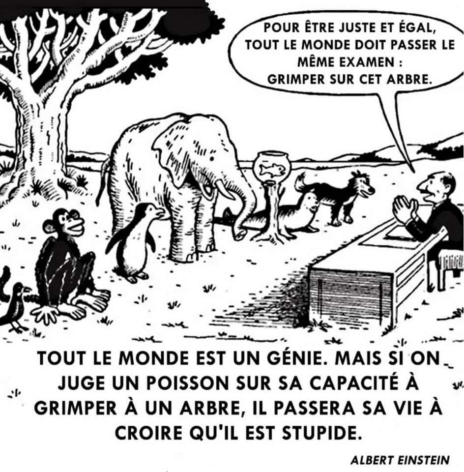 Image qui tourne en boucle et...
d'une justesse évidente.
Mais les évidences, il est bon de les rappeler...
#différence #inclusion