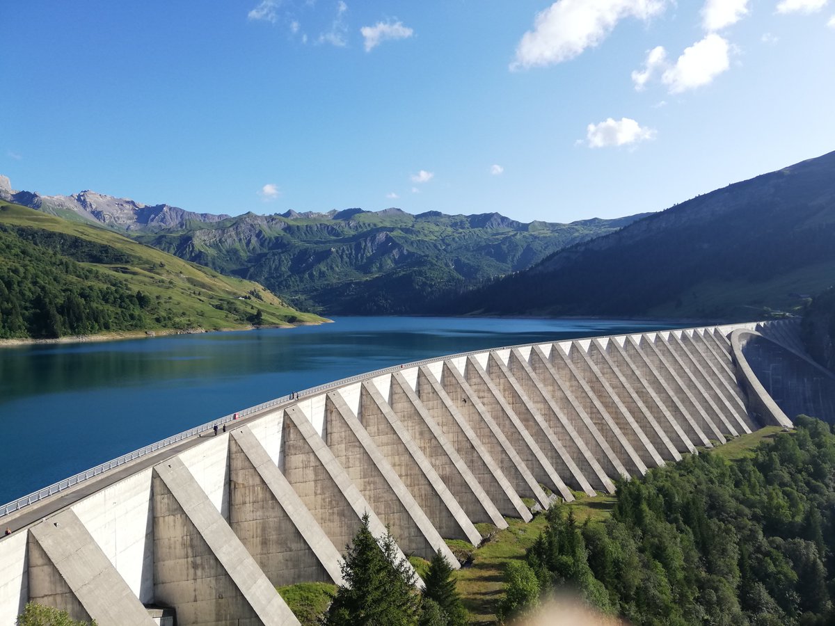 Art&Risk tweet media