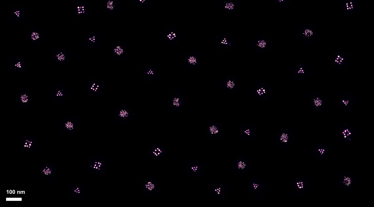 EPFL School of Engineering (@epflengineering) on Twitter photo STI researchers have discovered that ligand patterns control super-selective binding between nanomaterials & #protein surfaces – a breakthrough that could help researchers better understand and ‘communicate’ with the #immunesystem. <a href="/IkbenMaartje/">Maartje Bastings</a> <a href="/J_A_C_S/">J. Am. Chem. Soc.</a> actu.epfl.ch/news/scientist… STI researchers have discovered that ligand patterns control super-selective binding between nanomaterials & #protein surfaces – a breakthrough that could help researchers better understand and ‘communicate’ with the #immunesystem. <a href="/IkbenMaartje/">Maartje Bastings</a> <a href="/J_A_C_S/">J. Am. Chem. Soc.</a> actu.epfl.ch/news/scientist…