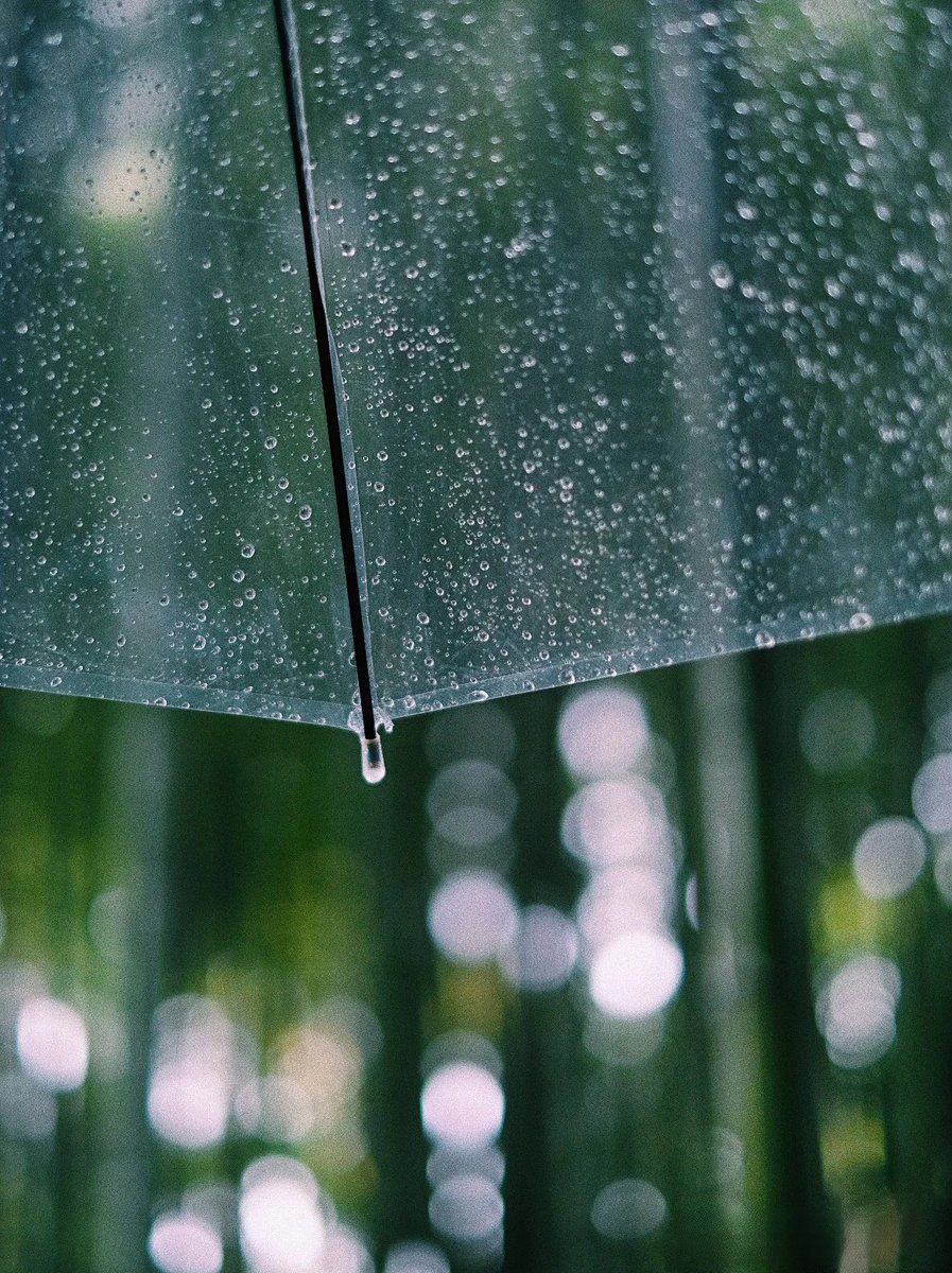 其實我蠻喜歡下雨天的
抱一起取暖會更溫暖🌧️ https://t.co/5yXi1fvQvb