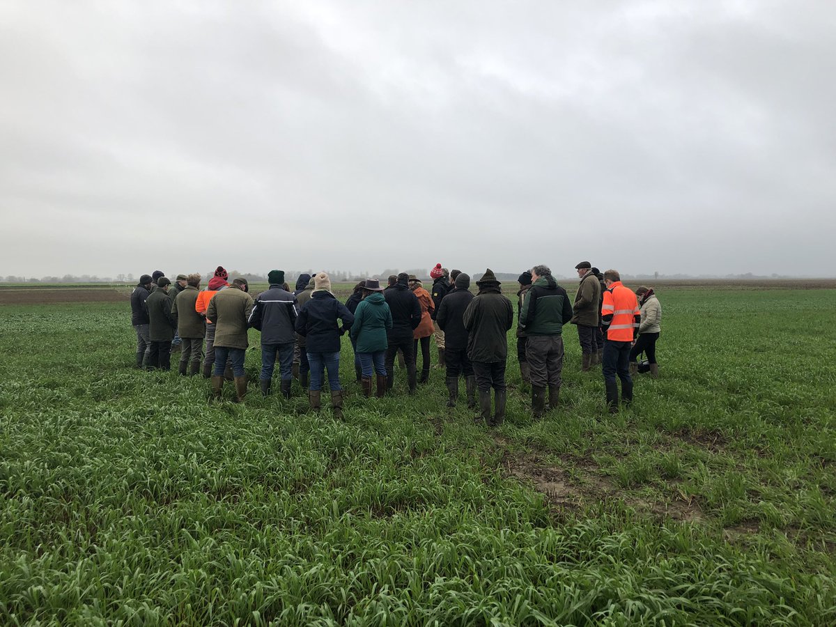 Richard Meredith tweet media