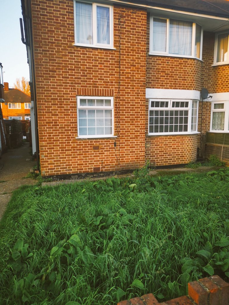 NFT Christ tweet media