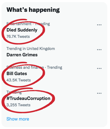 HumanRights4UK's tweet photo. Interesting array of hashtags today.

#DiedSuddenly 
#BillGates 
#TrudeauCorruption https://t.co/rHcoPl76IO